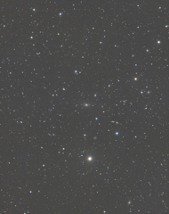 NGC2563近辺