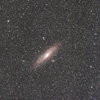 M31