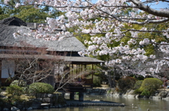 風流