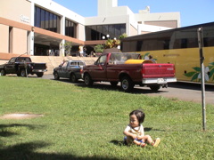 ハワイ大学だったと思う