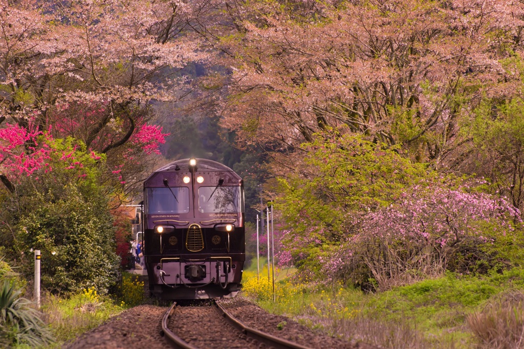 桜の終演