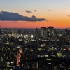 新宿摩天楼