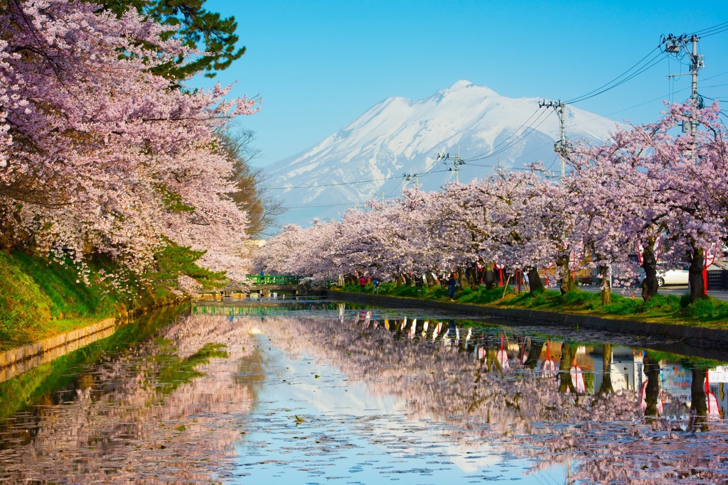 弘前春景
