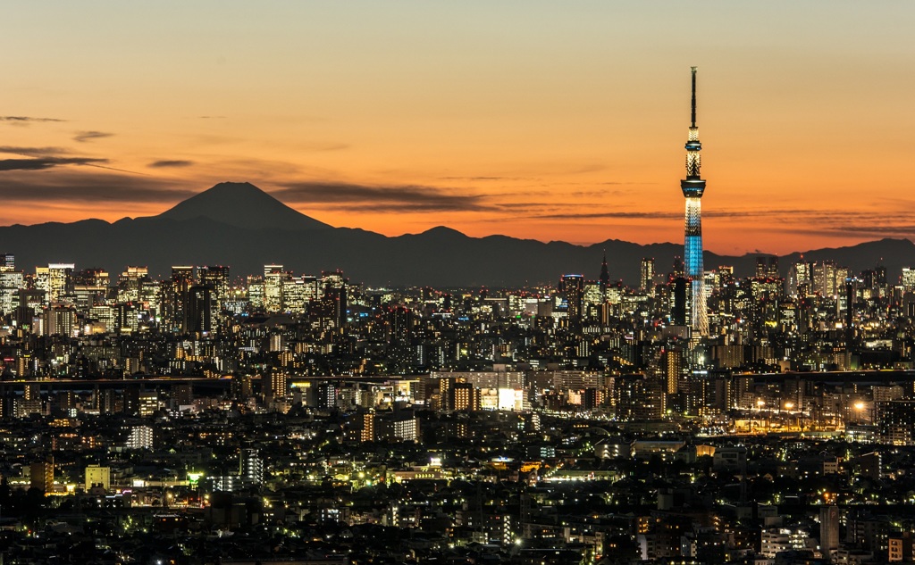 夕刻の共演