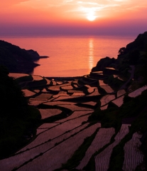 棚田夕景