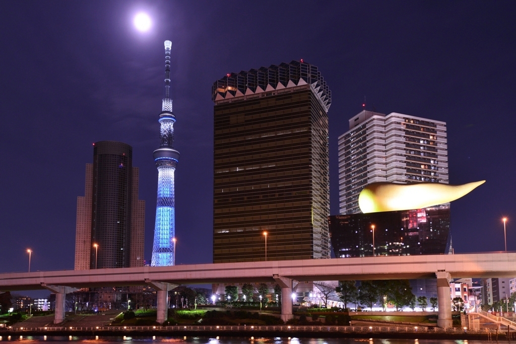 月と空の木