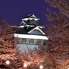 熊本城と夜桜