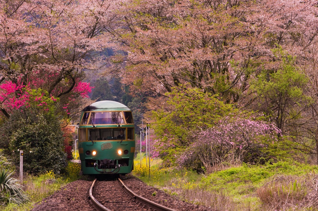 春列車にのって