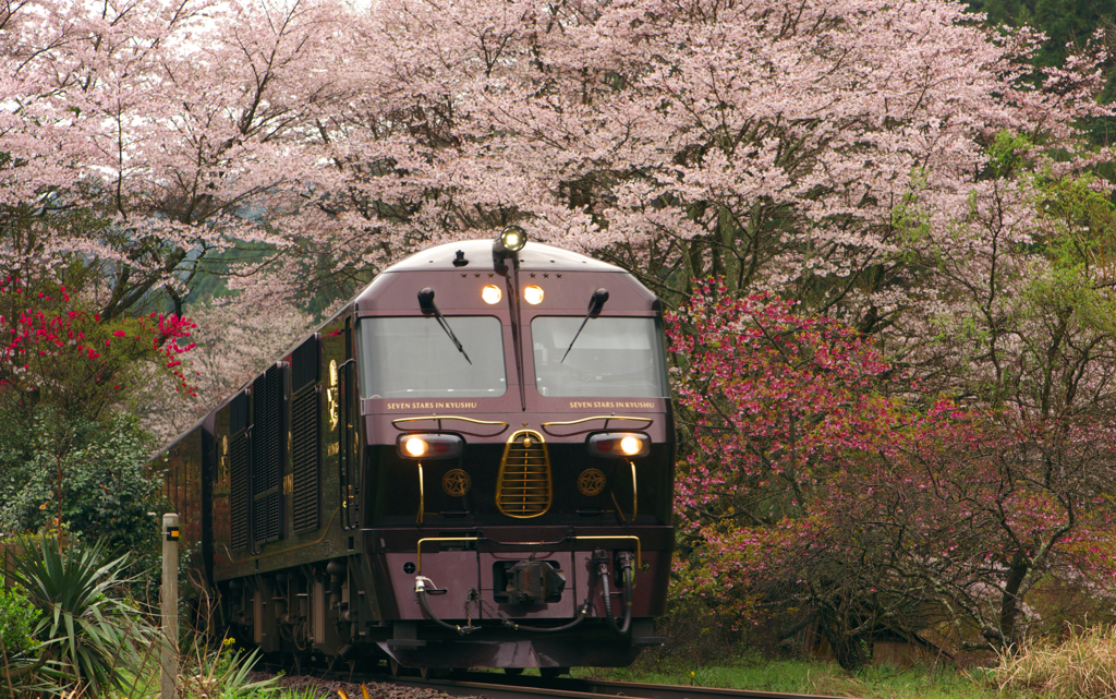 桜のトンネルを抜けて