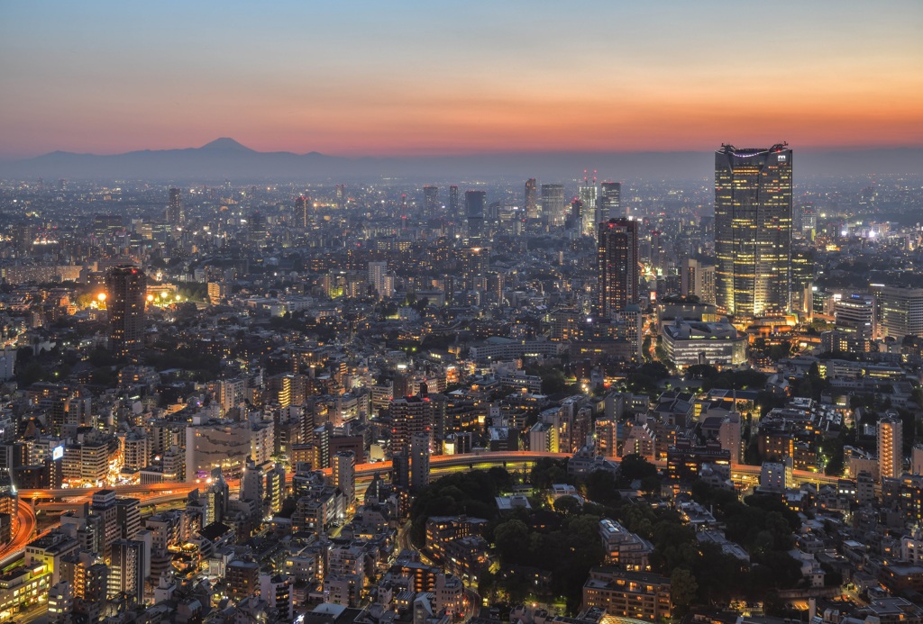 Tokyo twilight