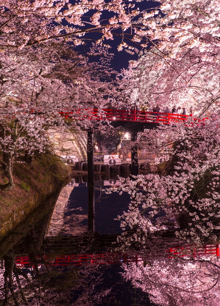 桜花乱舞