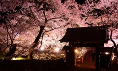 高遠城址公園　問屋門