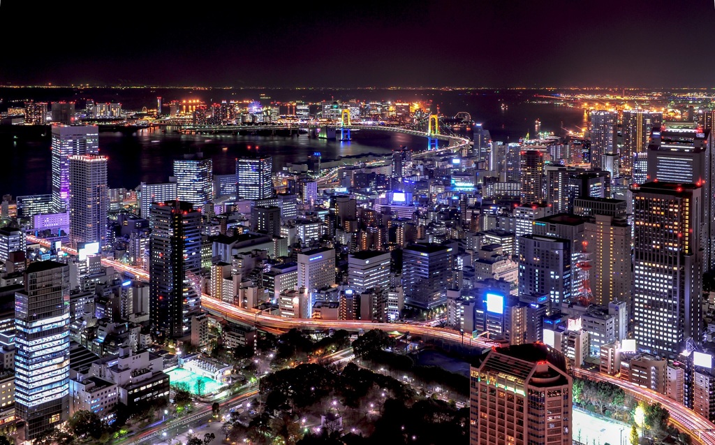 Tokyo sky cruise