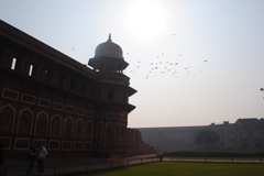 The bird　soared high into the sky.