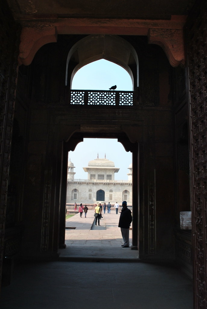 The bird leads me to the ...