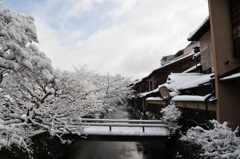 雪の祇園白川
