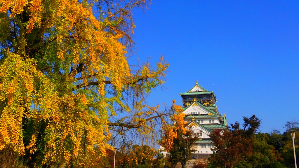大いちょうと大阪城