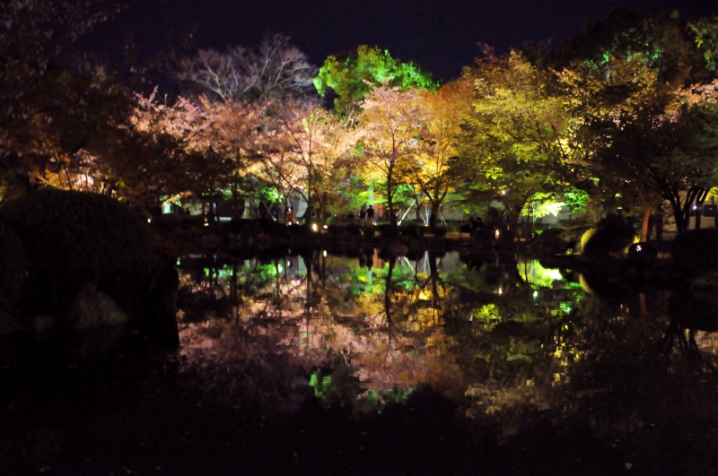 東寺ライトアップ