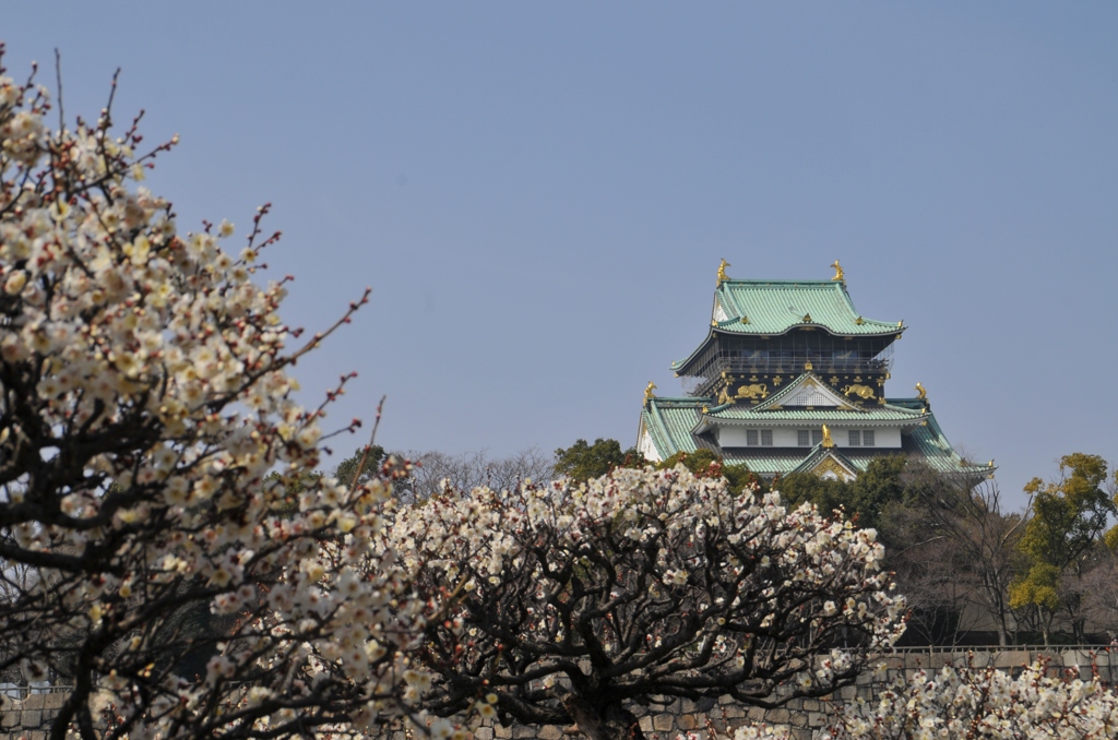 大坂城梅林