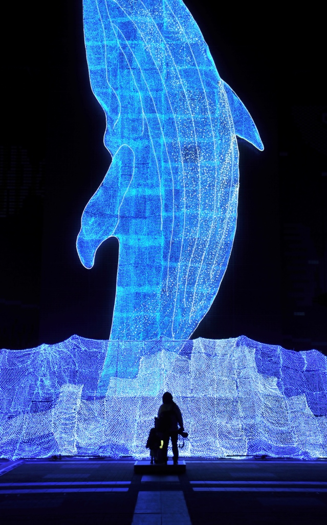 ちきゅうたいかんイルミネーション