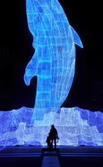 ちきゅうたいかんイルミネーション