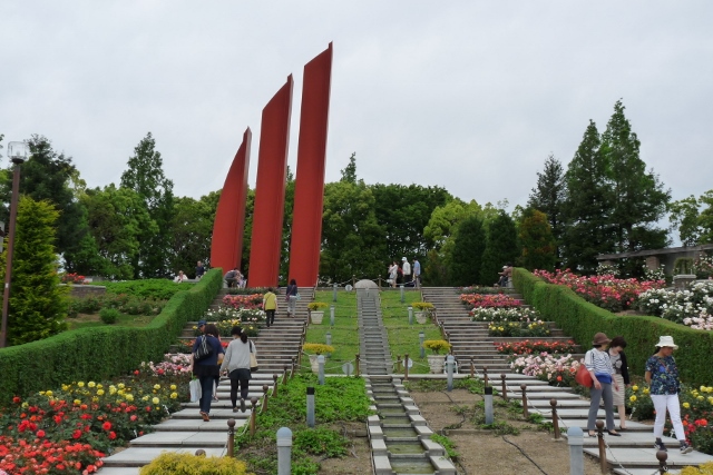 バラ