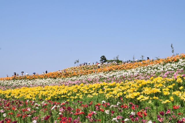 舞洲ゆり園