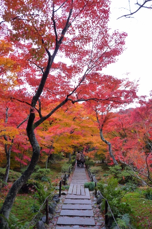 京都・宝匡院