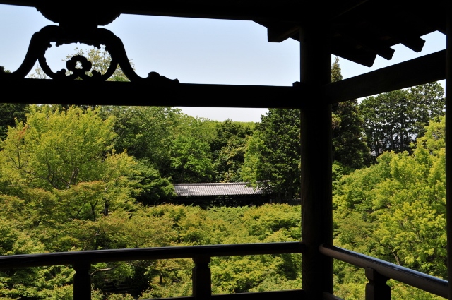 新緑の東福寺
