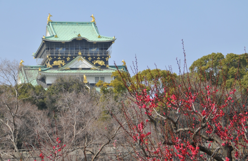 大坂城梅林