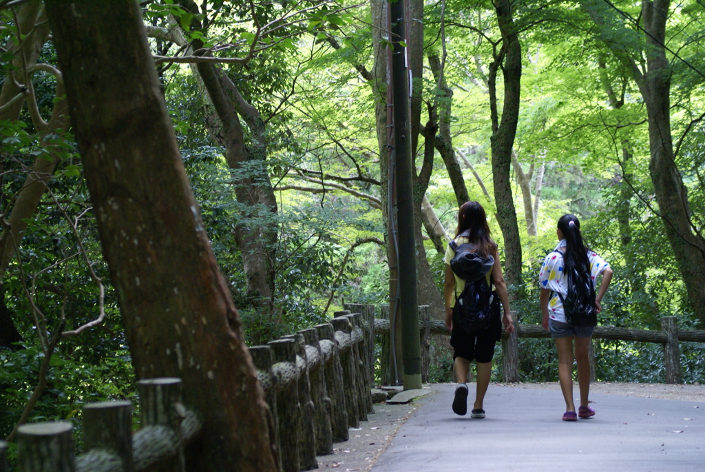 箕面の滝