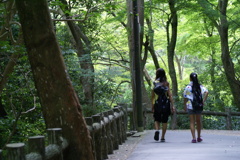 箕面の滝