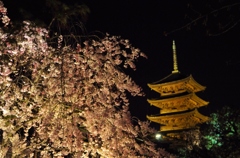 東寺ライトアップ