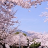 青空と満開の桜