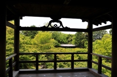 新緑の東福寺