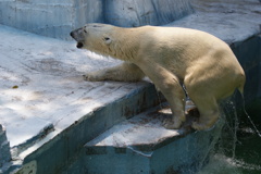 天王寺動物園