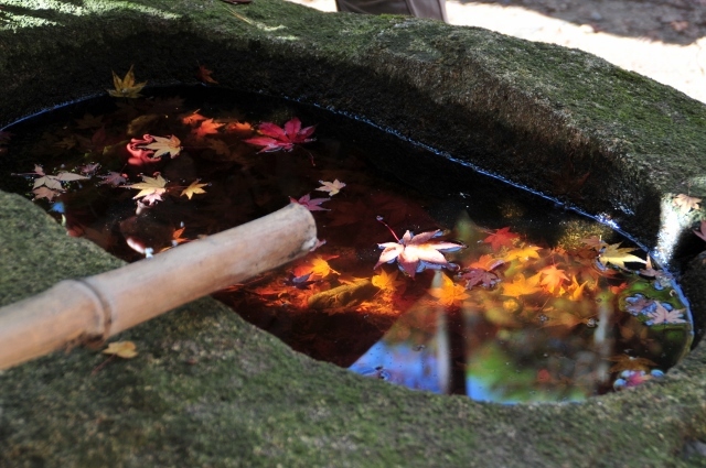 有馬・瑞宝寺公園