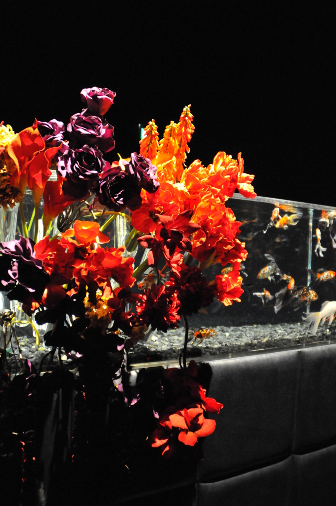 アートアクアリウム展