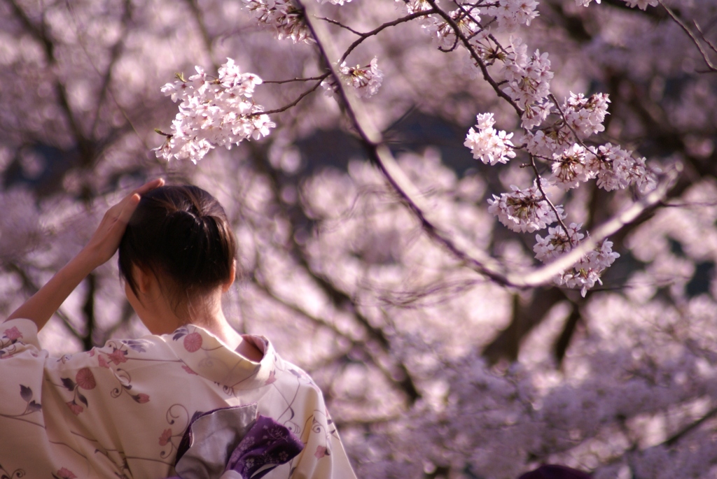 桜と女性らしさ