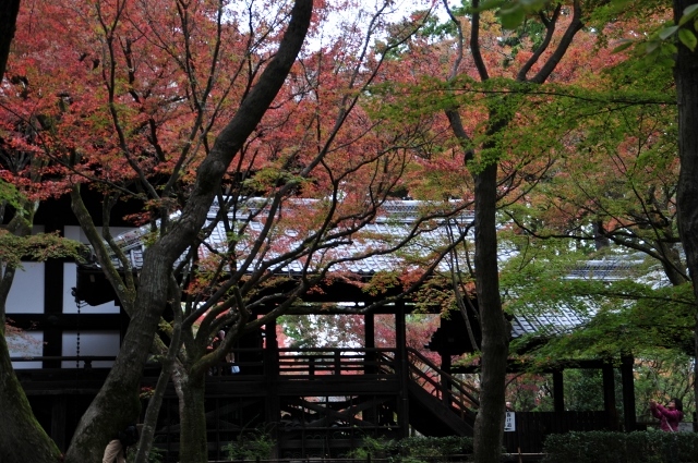 京都・真如堂