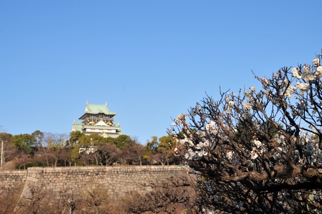 梅と大坂城