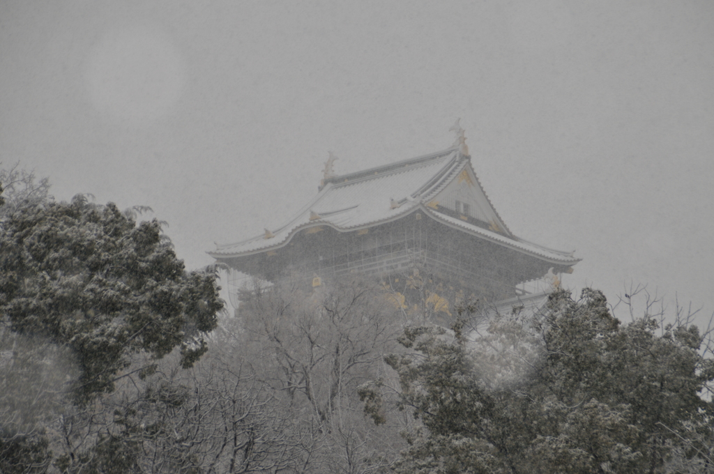 雪の天守閣