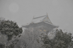雪の天守閣
