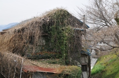廃墟