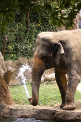 天王寺動物園