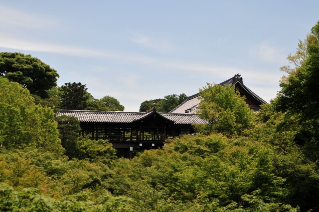 新緑の東福寺