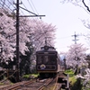 嵐電　桜のトンネル