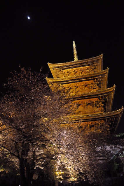 東寺ライトアップ