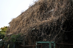 廃墟