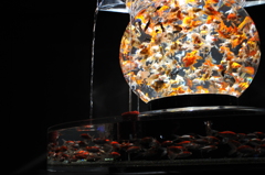 アートアクアリウム展